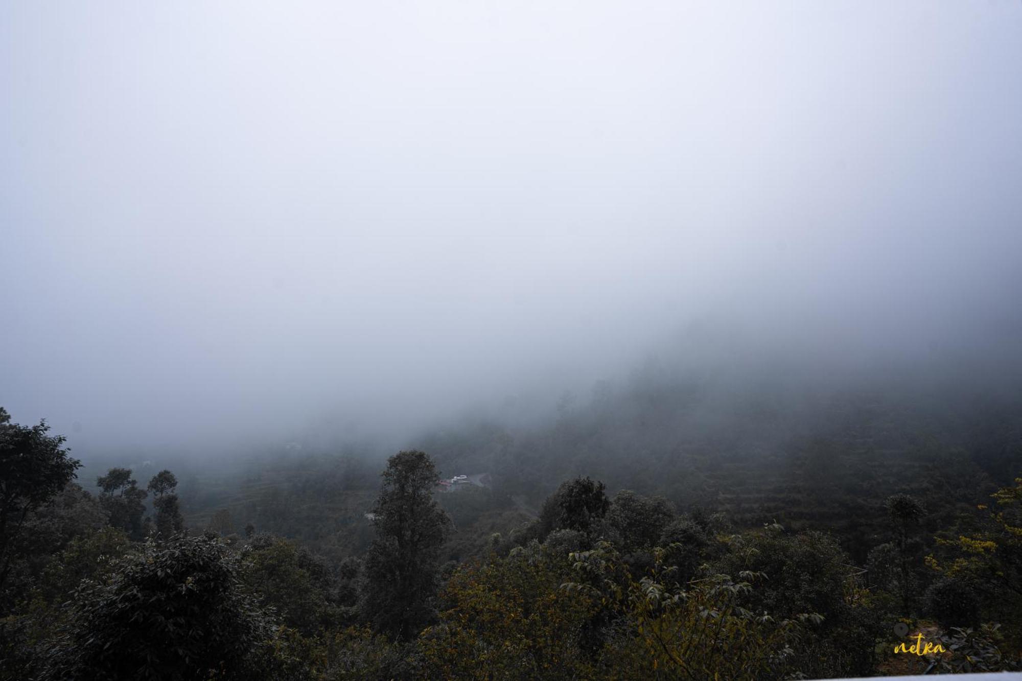 The Rare One'S Mukteshwar - Resort & Cafe Экстерьер фото