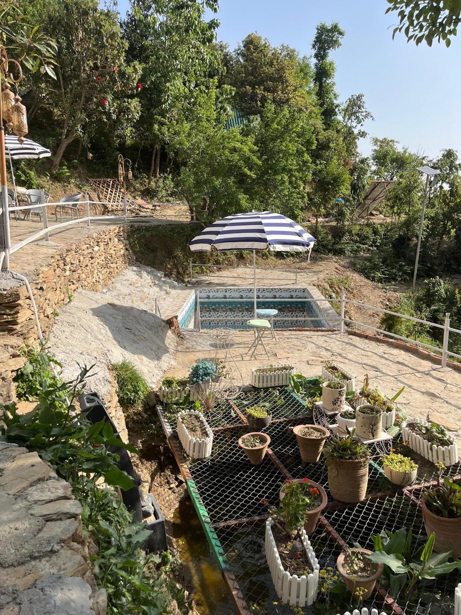 The Rare One'S Mukteshwar - Resort & Cafe Экстерьер фото